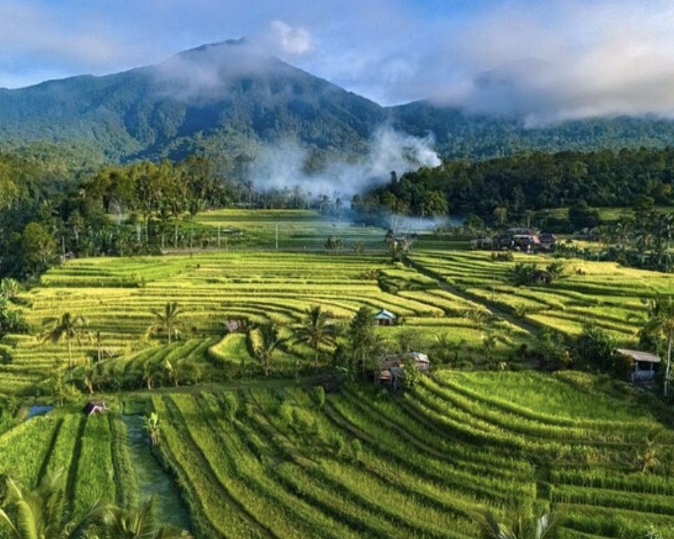 Jatiluwih Tour UNESCO rice terraces