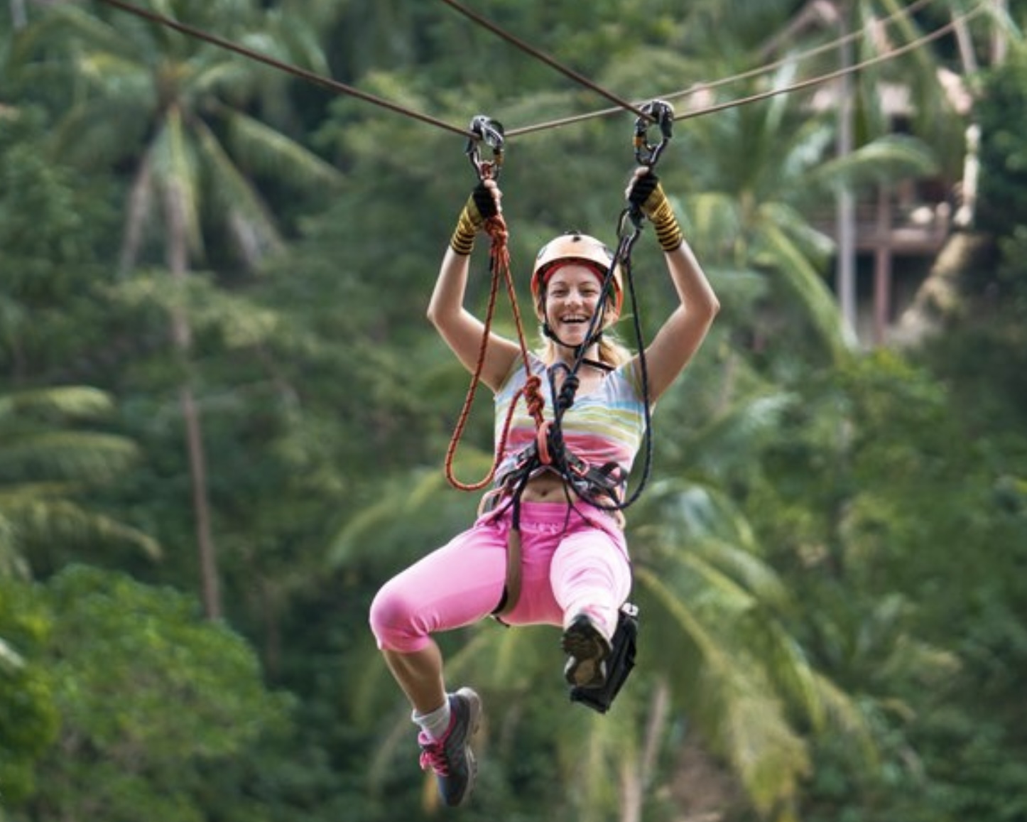 Ubud culture and rice terraces