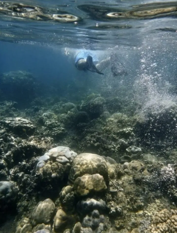Scuba diving on a coral reef