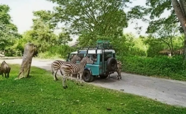 Bali Safari and Marine Park