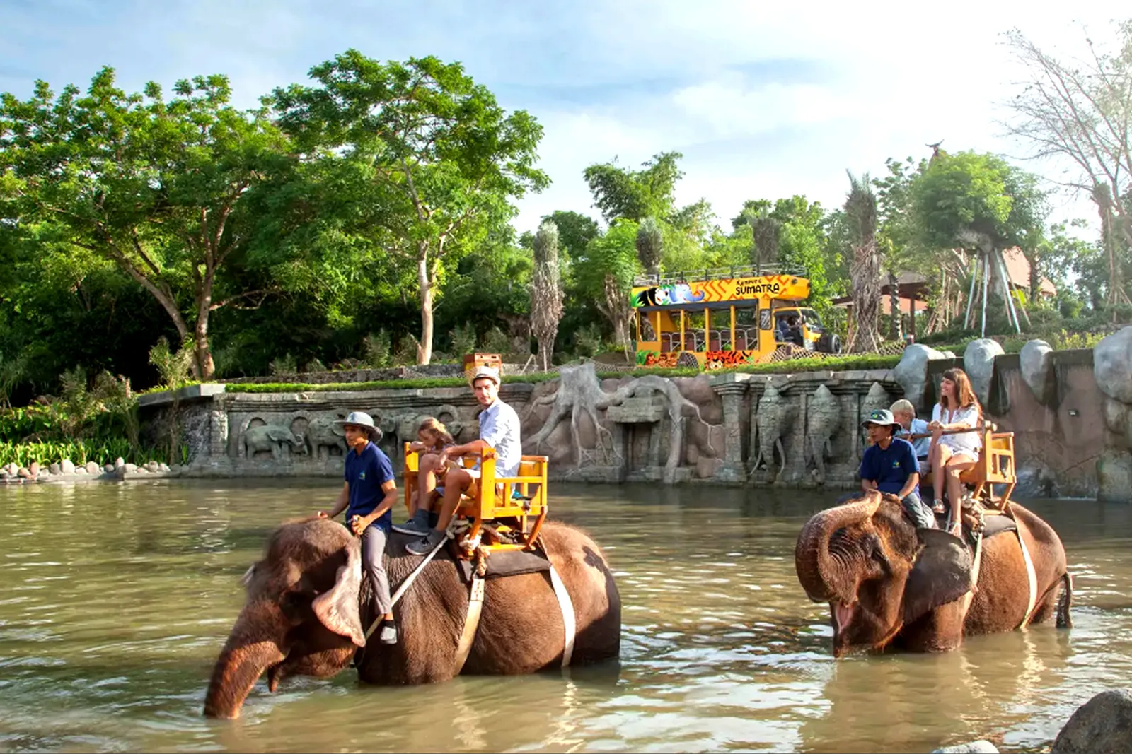 Elephants at a wildlife park