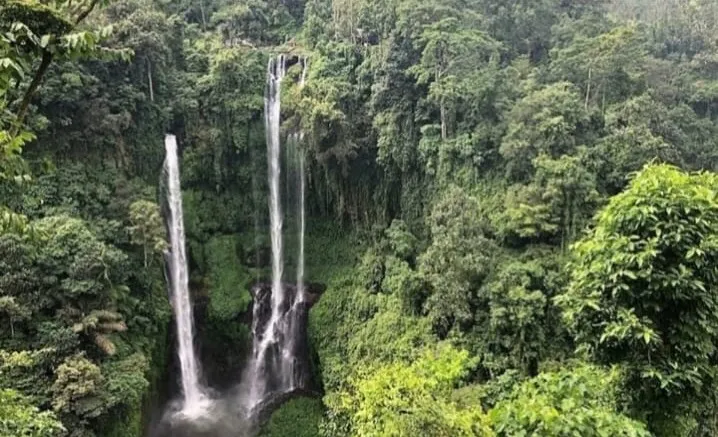 Twin waterfall streams in tropical jungle