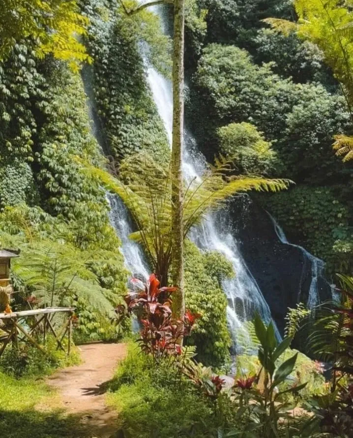 Forest trail through tropical plants