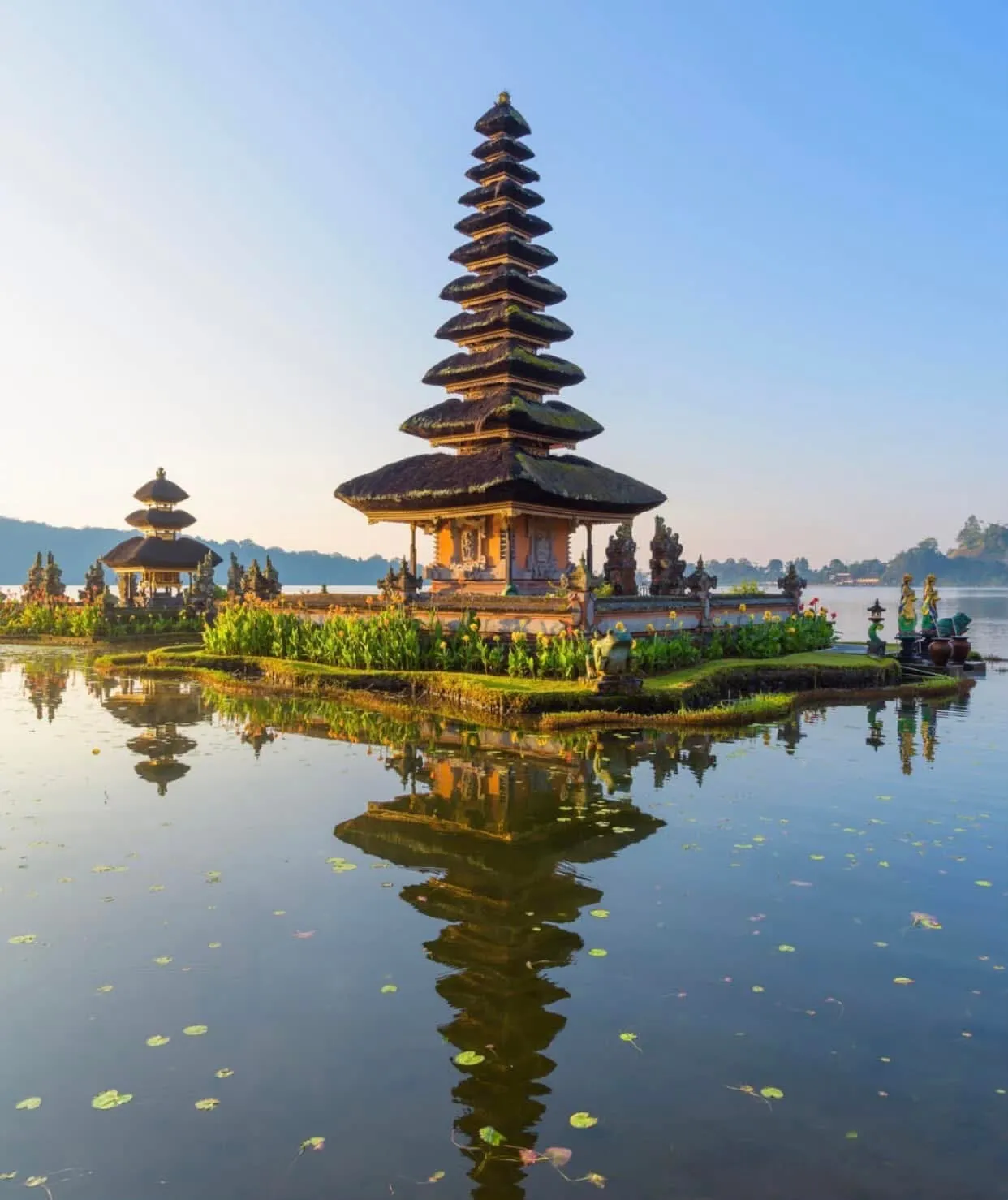 Sunrise over Balinese rice fields with a volcano on the horizon