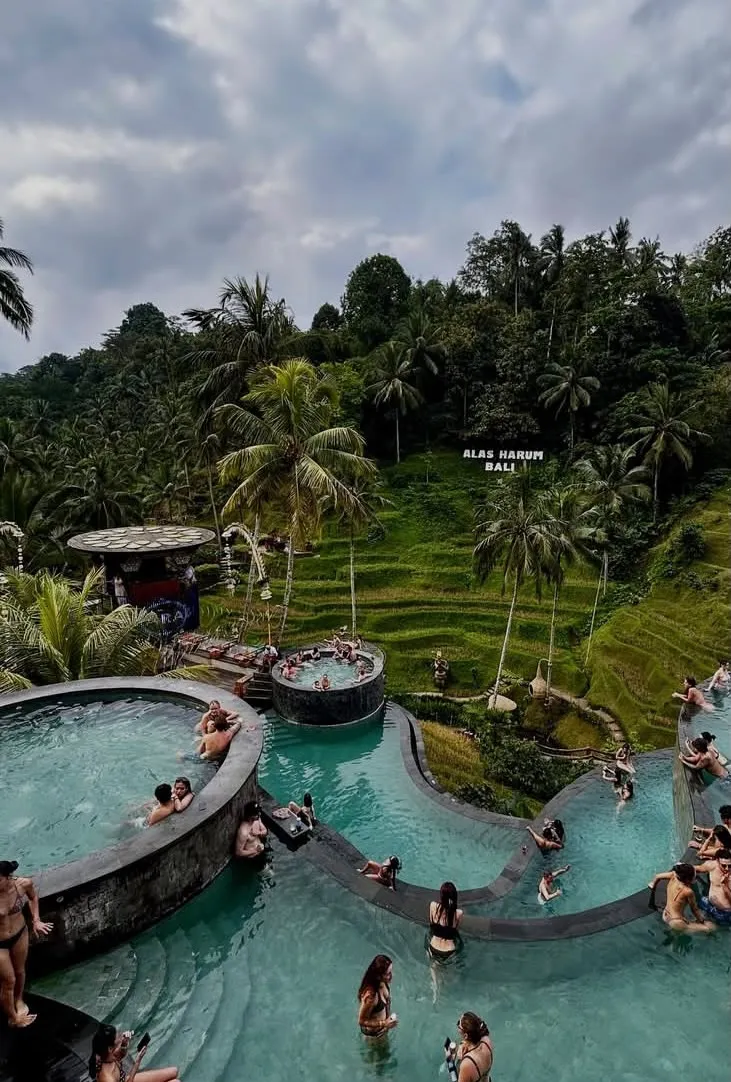 Alas Harum Bali pools above the rice terraces