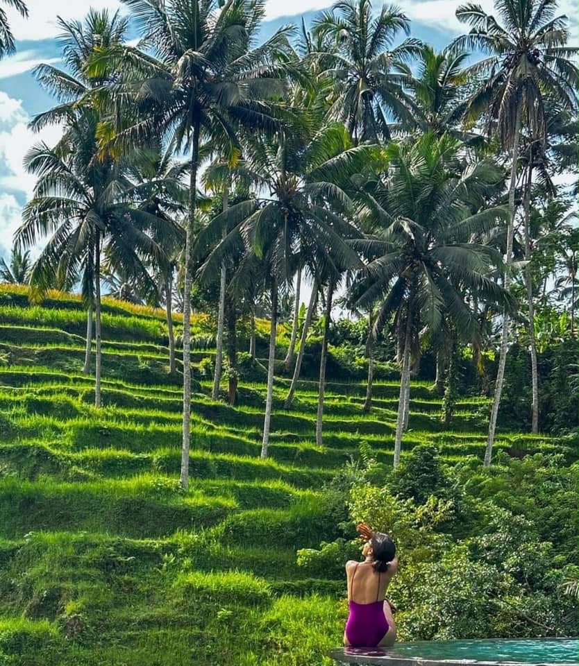 Guest looking out from a pool toward Ubud rice terraces