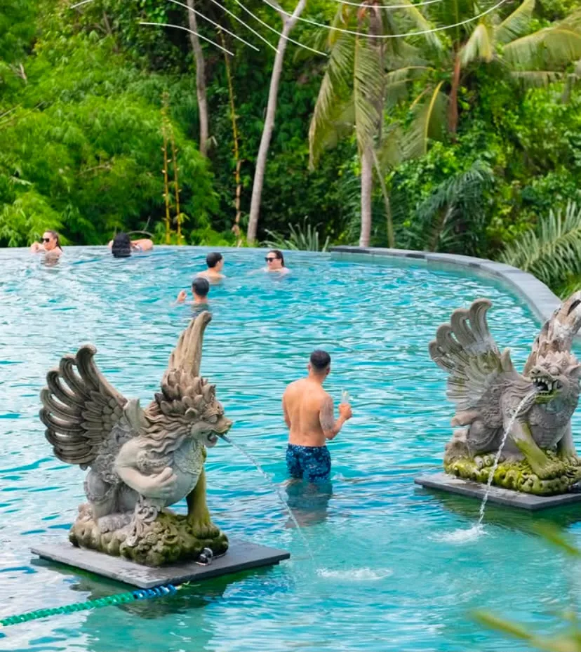 Guests swimming among griffin fountain statues