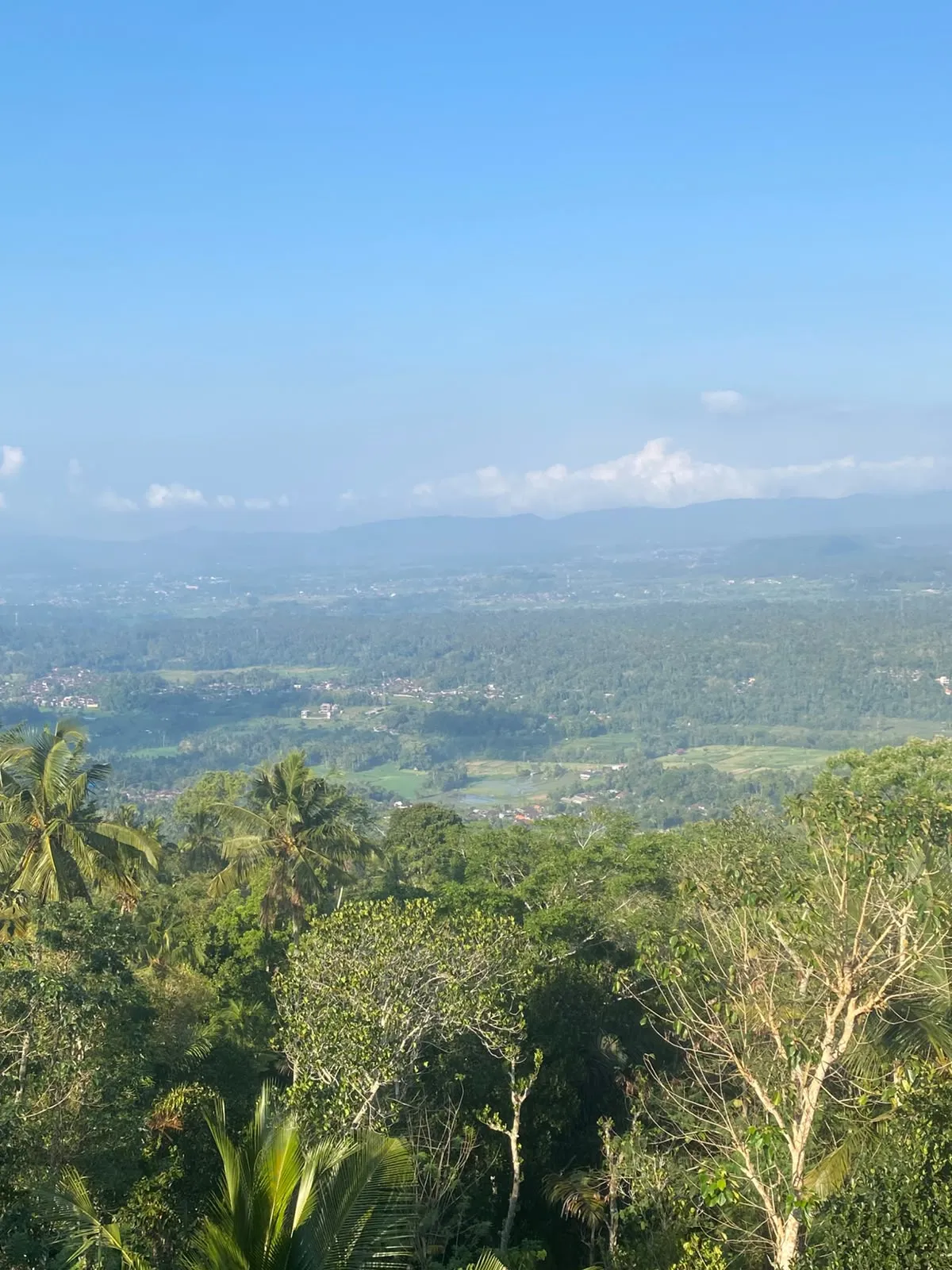East Bali valley and rice fields from a highland viewpoint