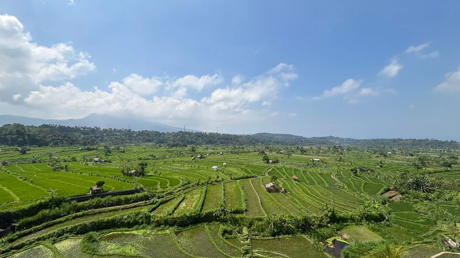 Rice terraces on a Bali private tour