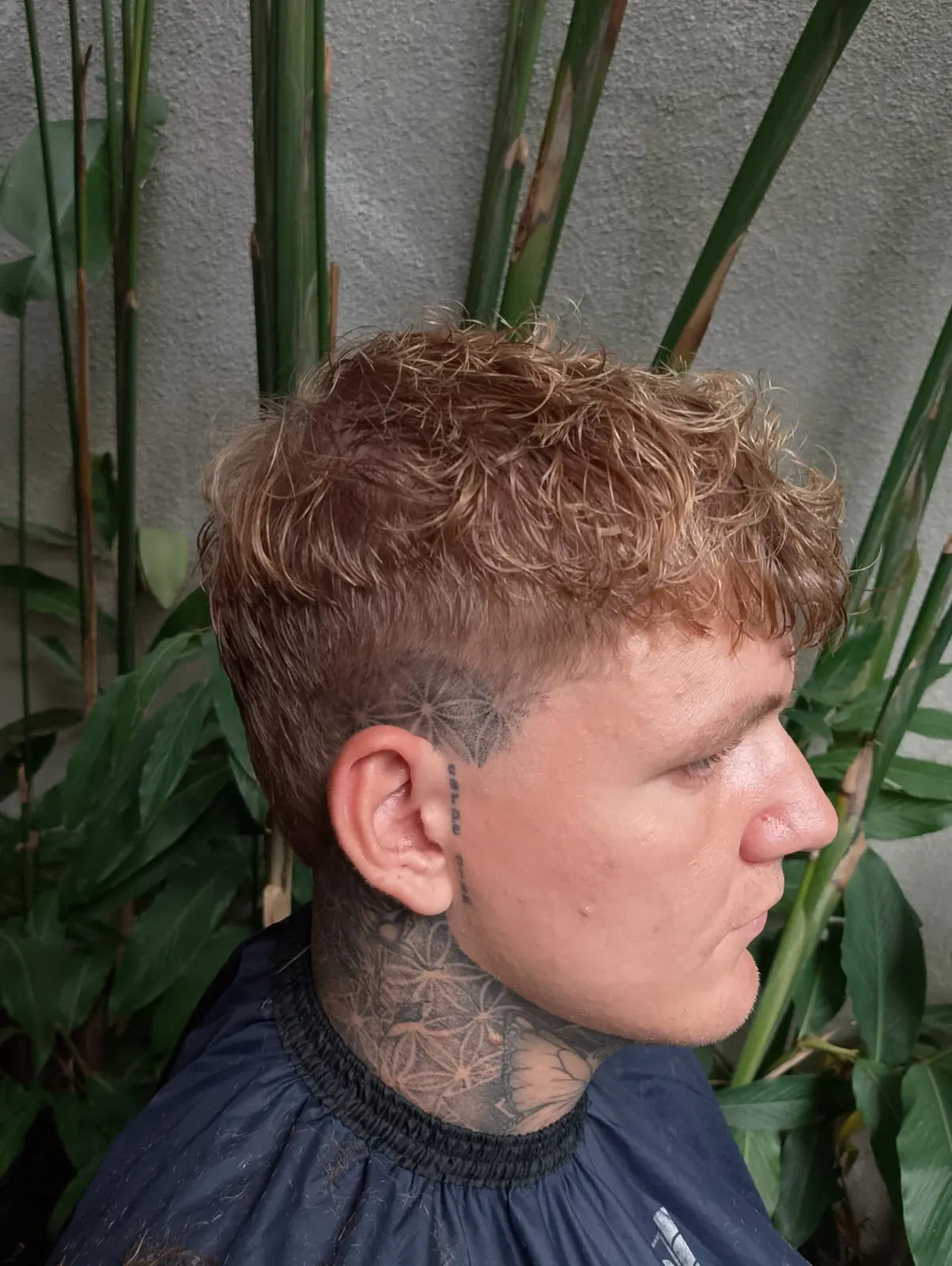 Clippers and barber tools