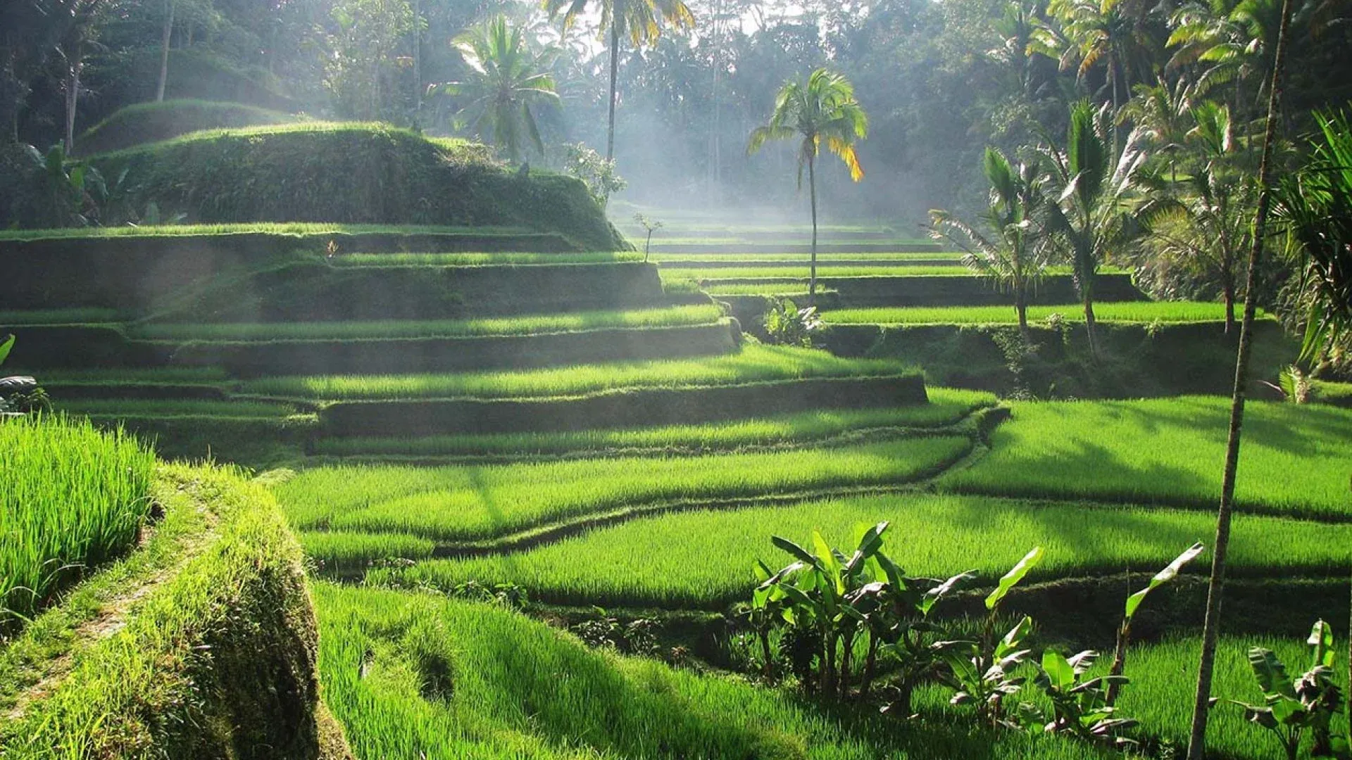 Bali scenic wonders
