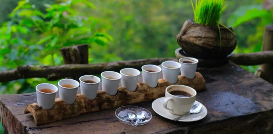 Thrilling rafting coffee