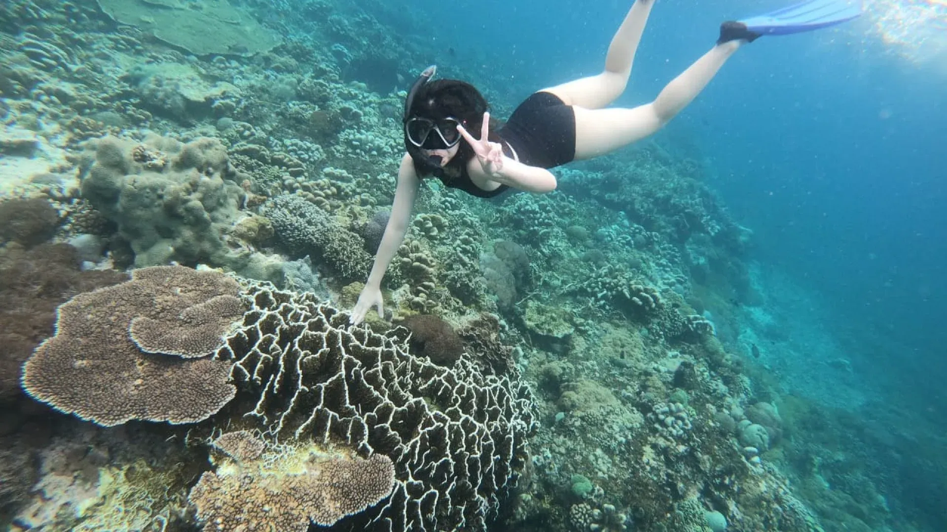 East Nusa Penida snorkeling