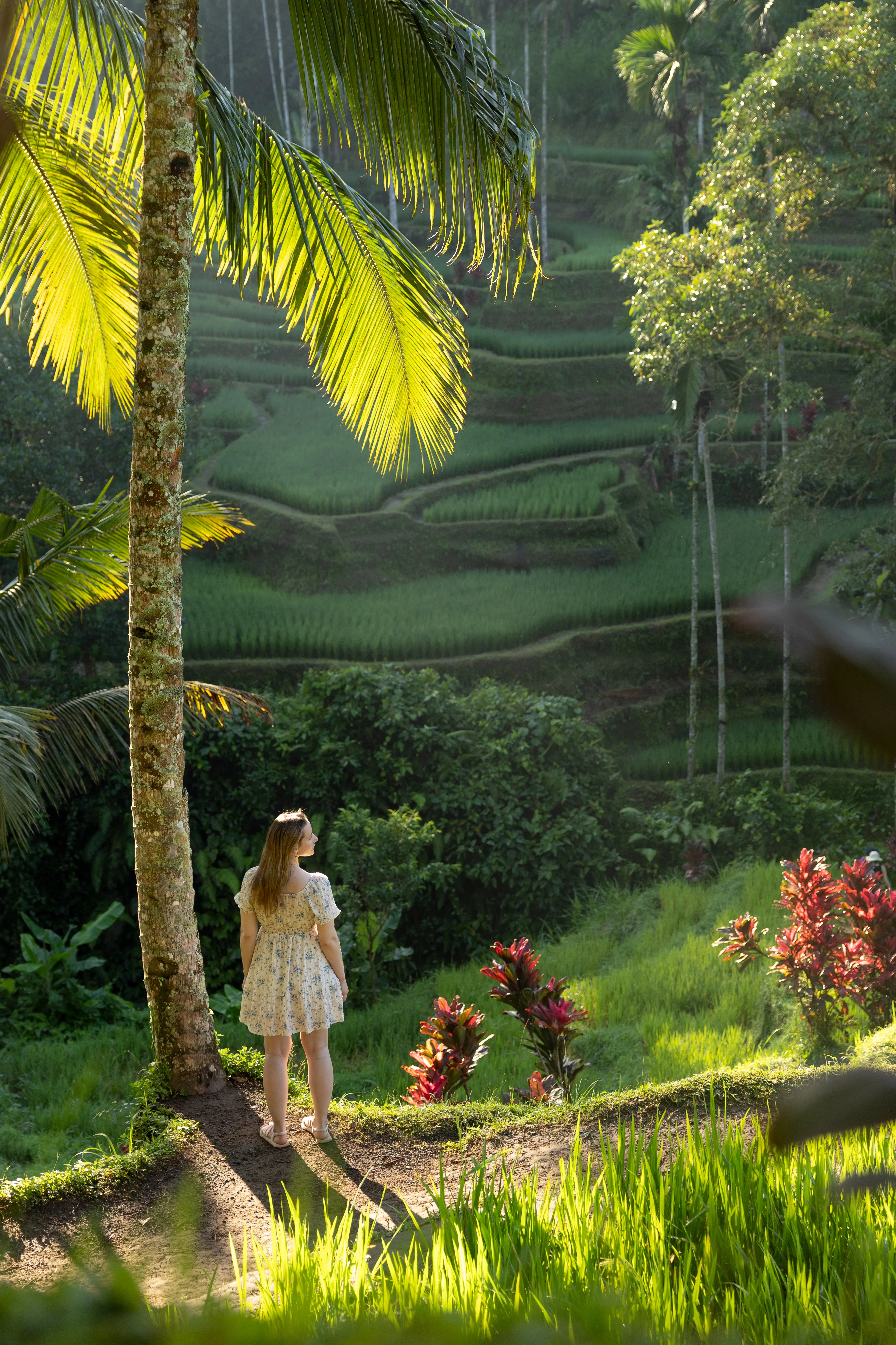 Ubud landscape from a photography tour