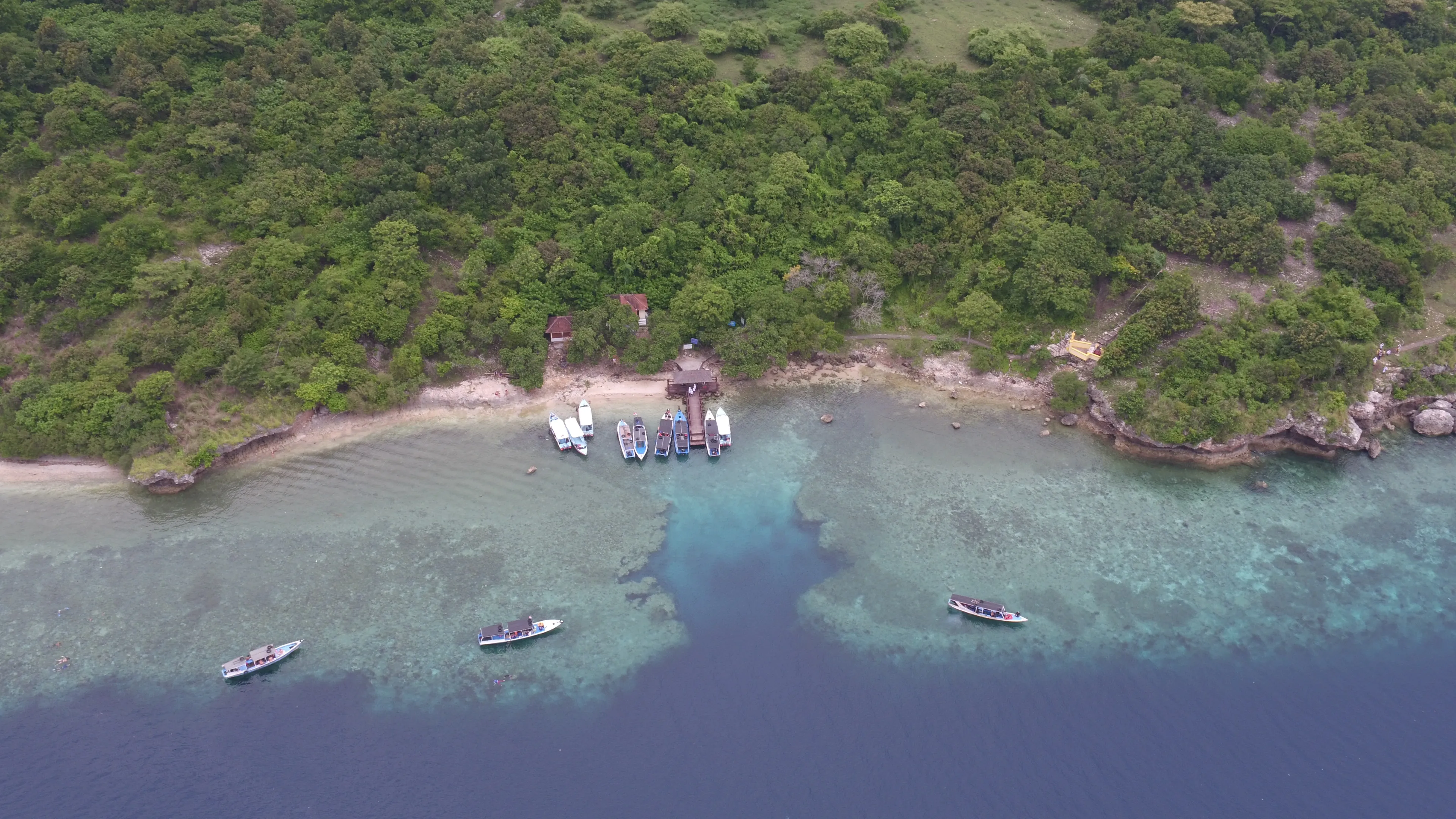 Diver on the reef at Menjangan Island