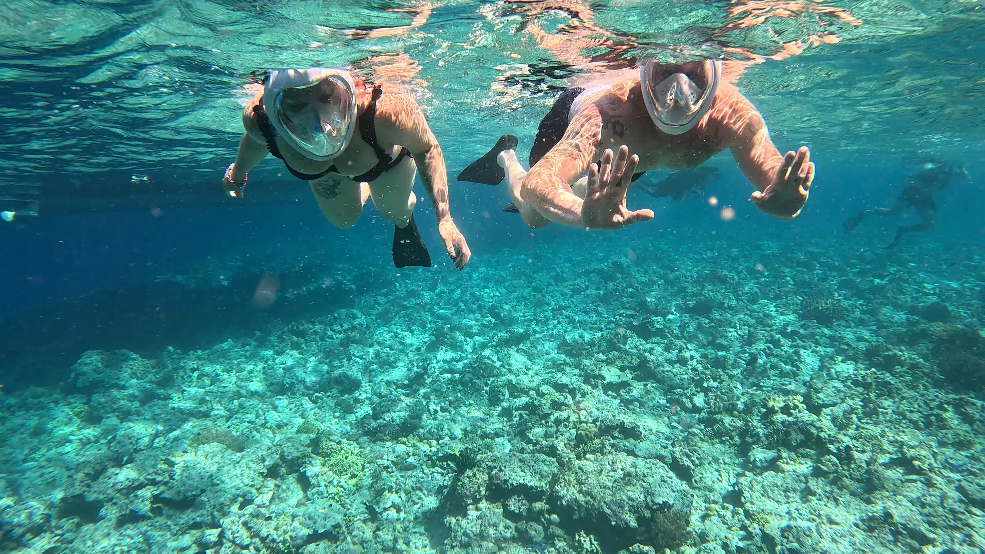 Marine Adventure