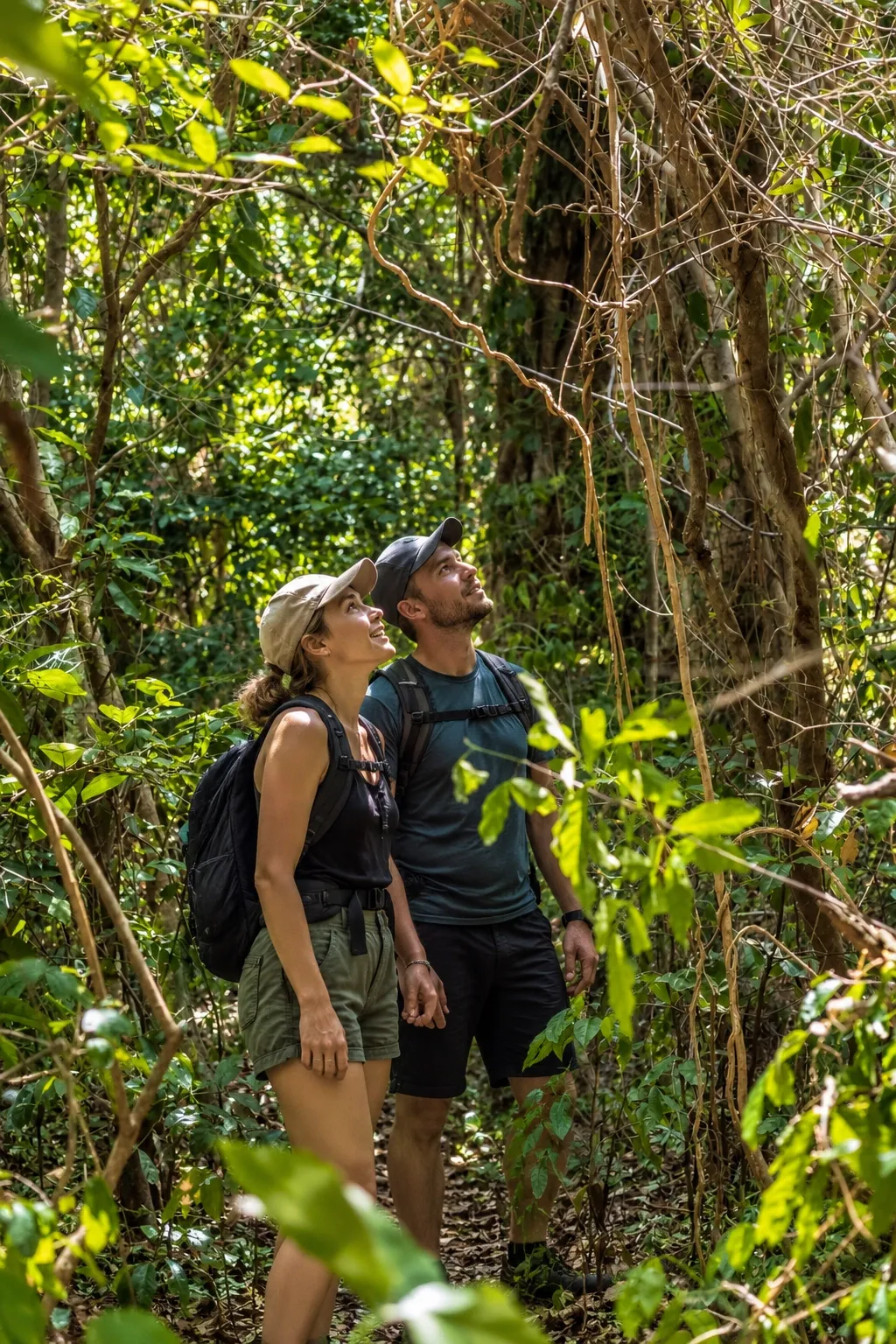 Trekking in West Bali National Park: What You Need to Know