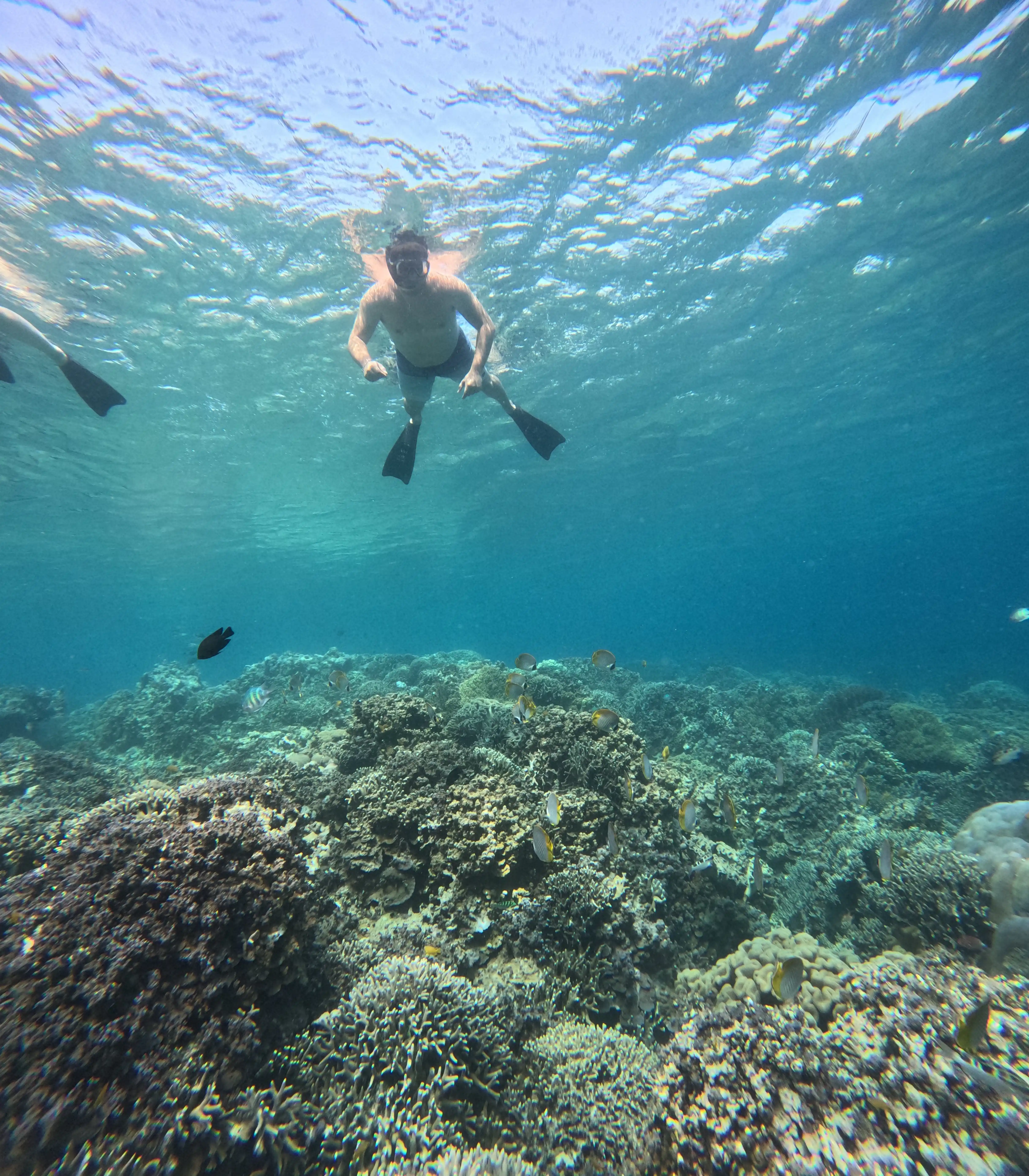 Snorkeling Blue Lagoon Bali