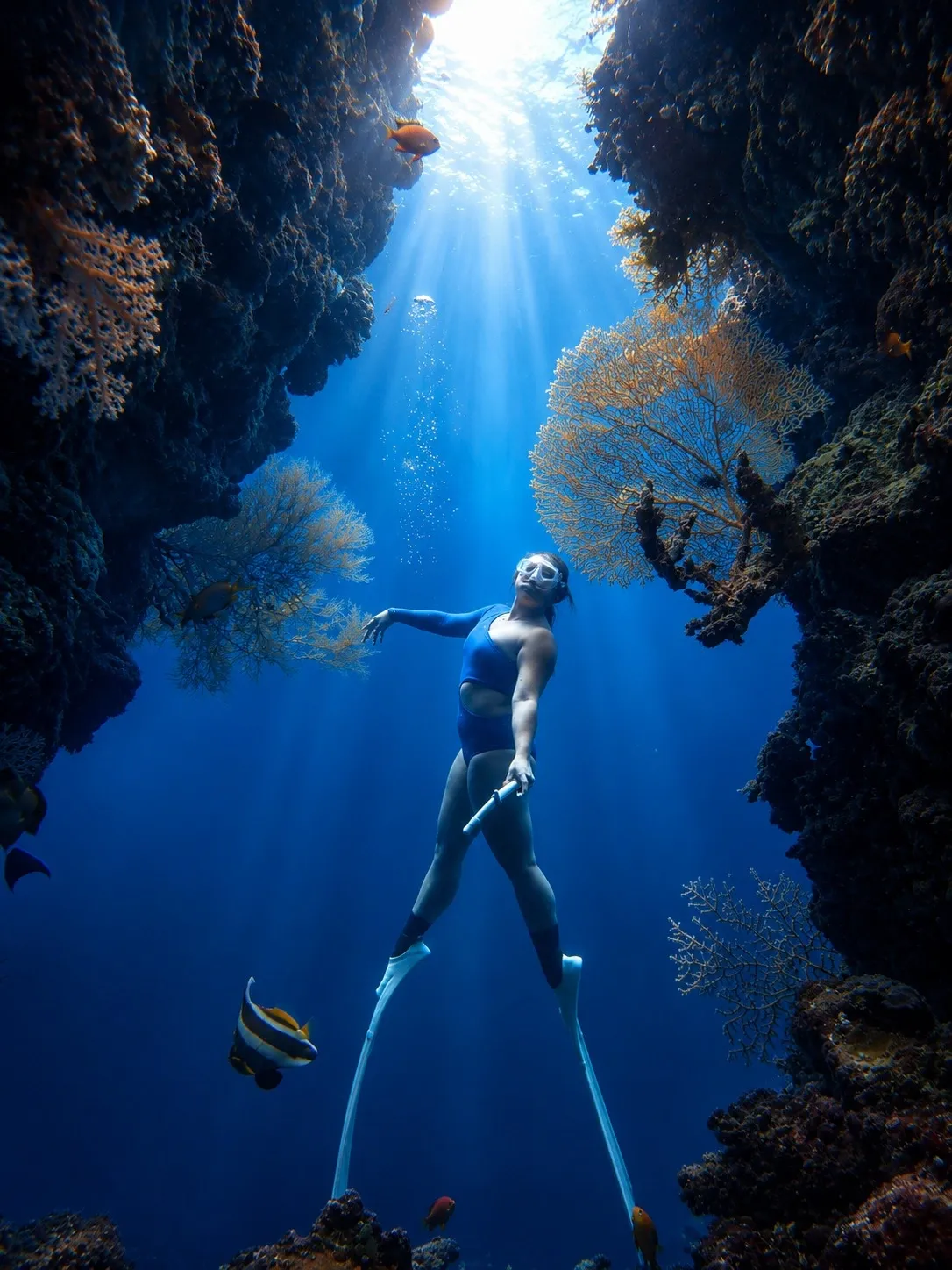 Freediving Menjangan Island