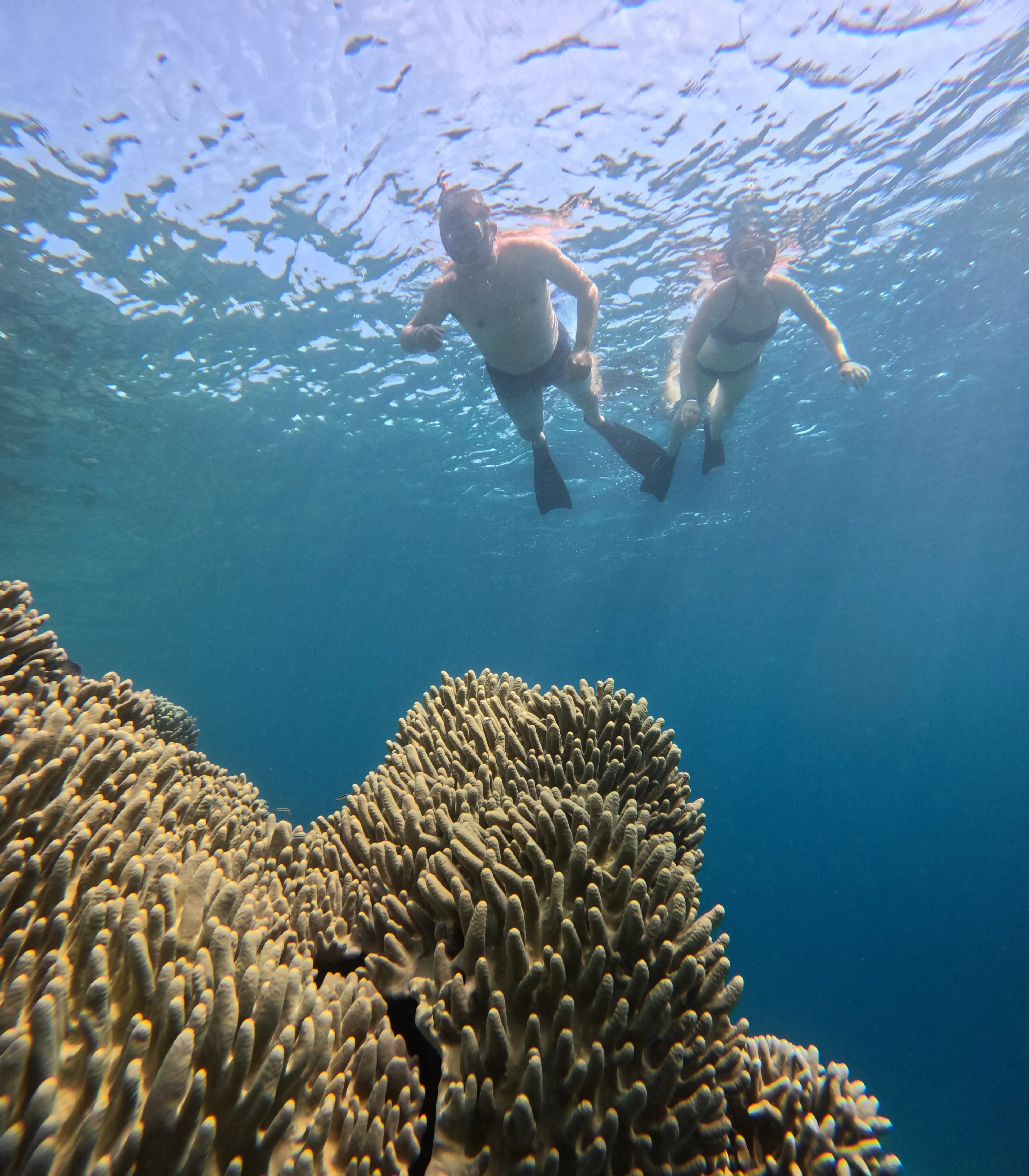 What to Bring for a Menjangan Island Snorkeling Trip