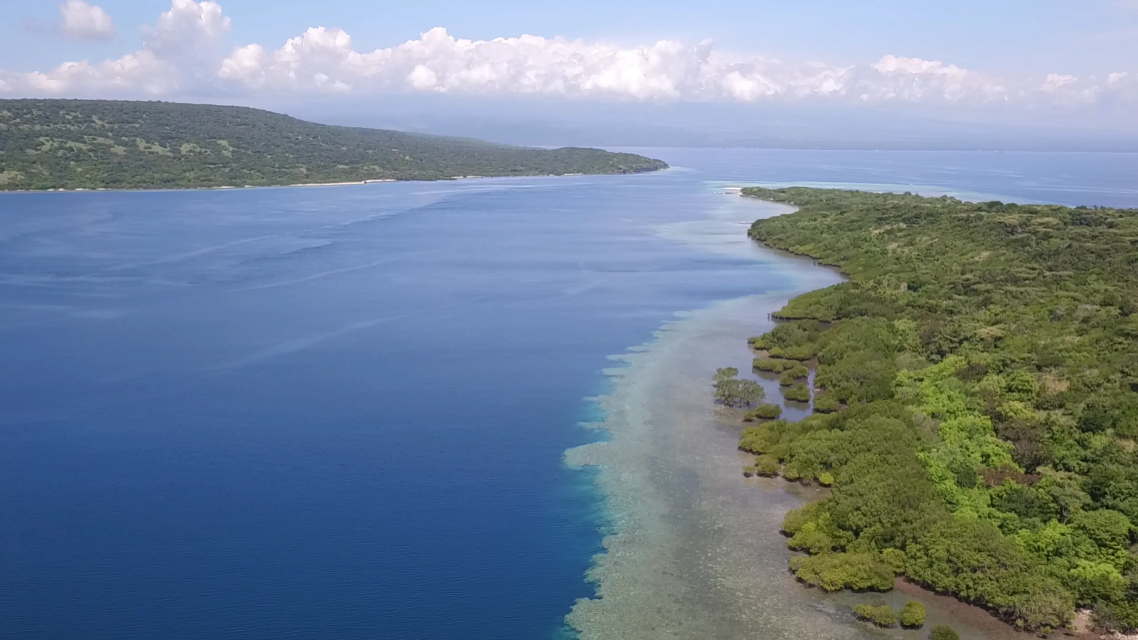 10 Things to Know Before Visiting Menjangan Island