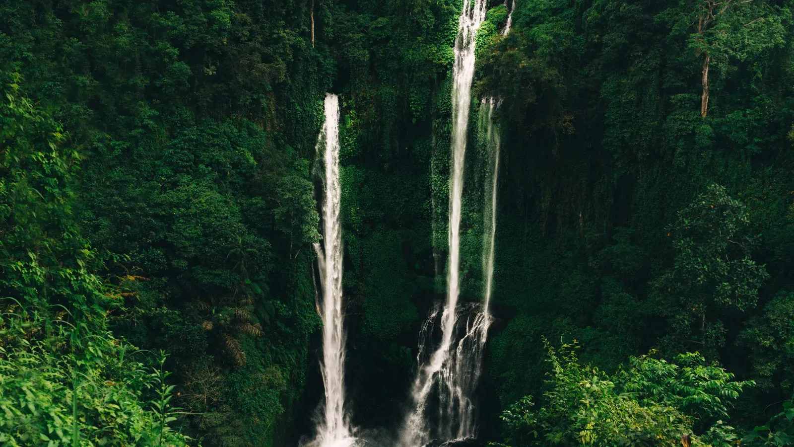 Sekumpul Waterfall and North Bali Scenic Tour