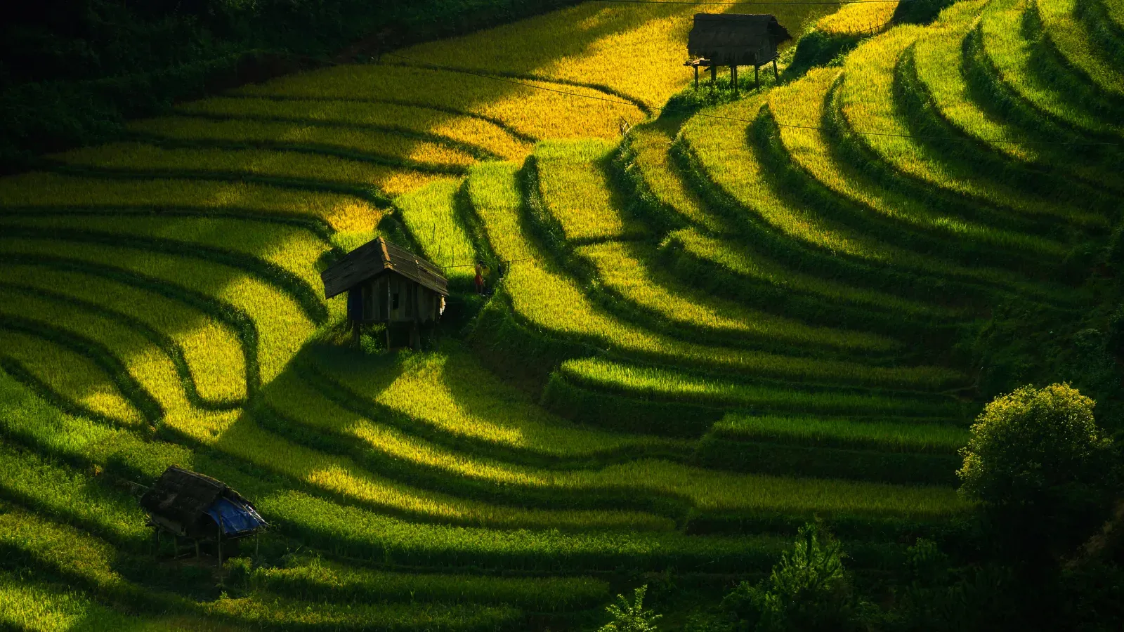 Scenic landscapes in Bali