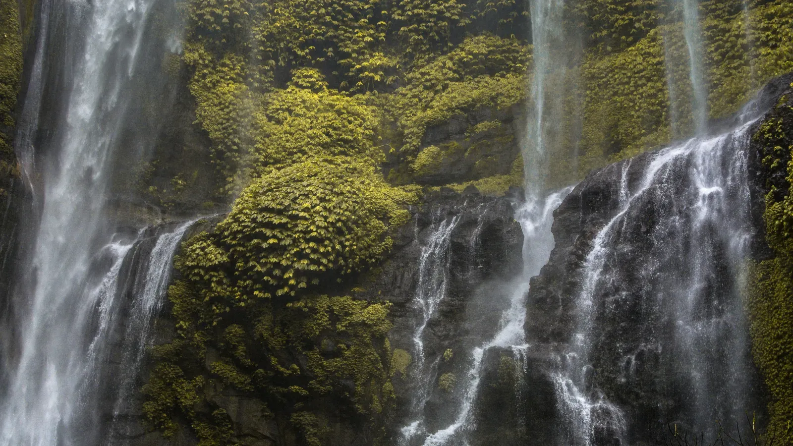 Sekumpul Waterfall Adventure & North Bali Highlights