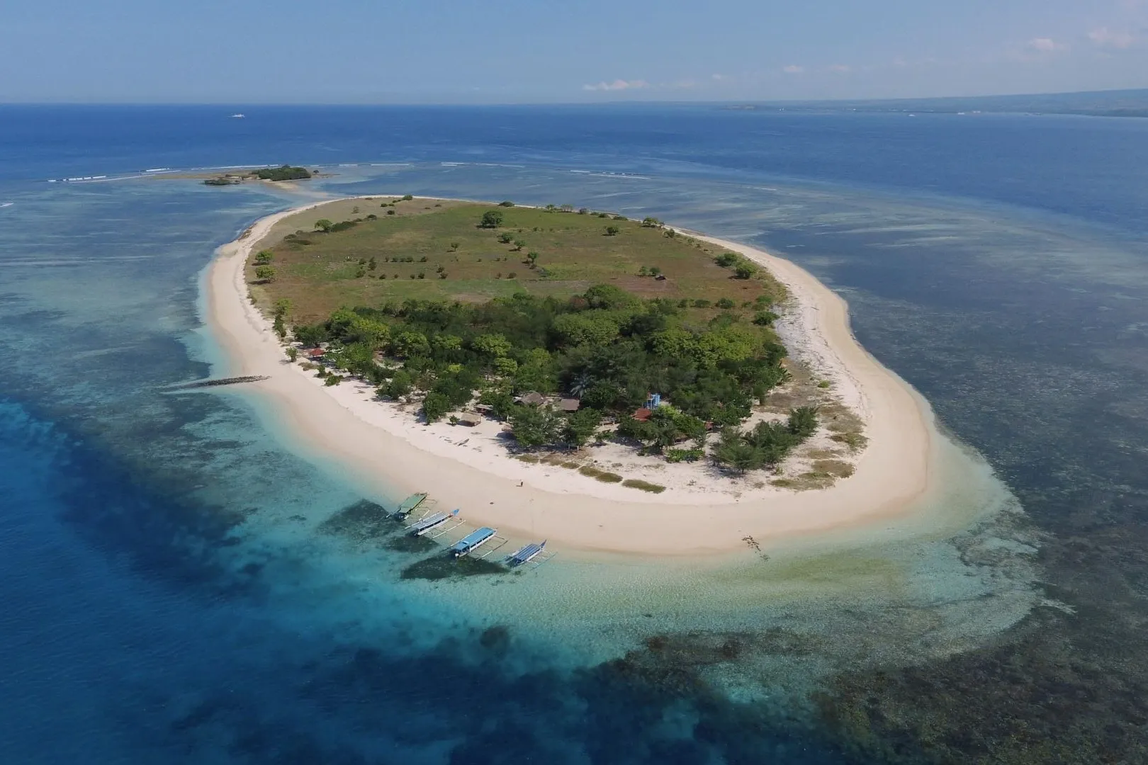 Tropical shoreline and mangrove water
