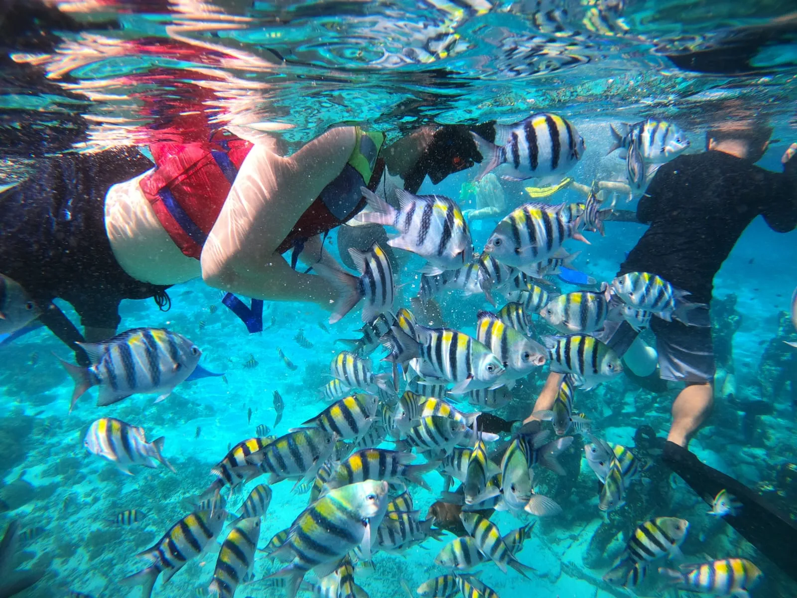 Zan Lombok Trip gallery photo