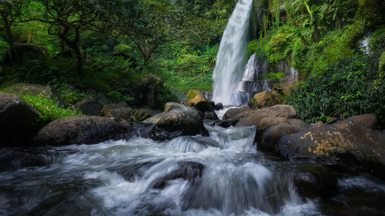 Waterfall surrounded by tropical greenery for the West Bali adventure.