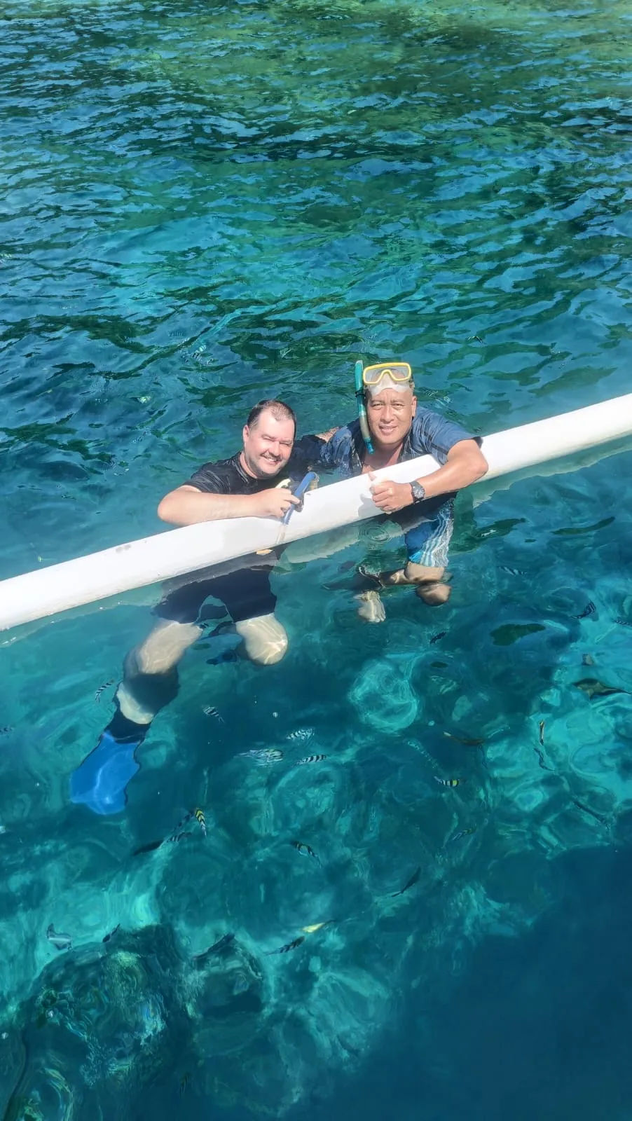 Scenic reference: clear tropical water over a reef