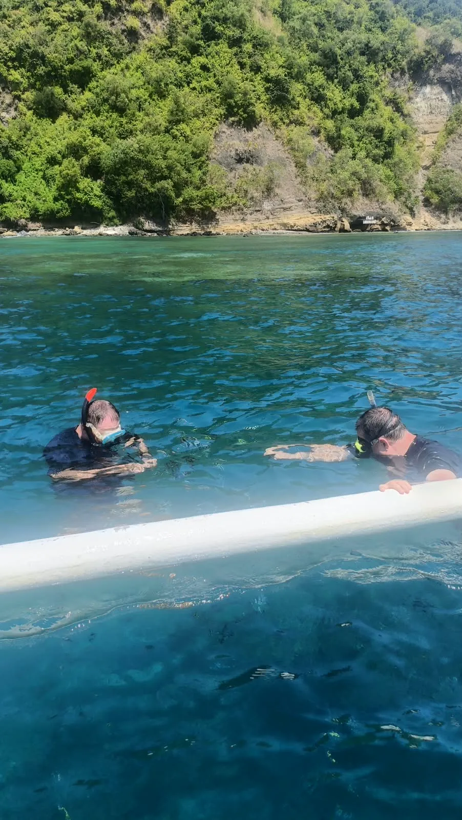 Scenic reference: snorkeling over a reef