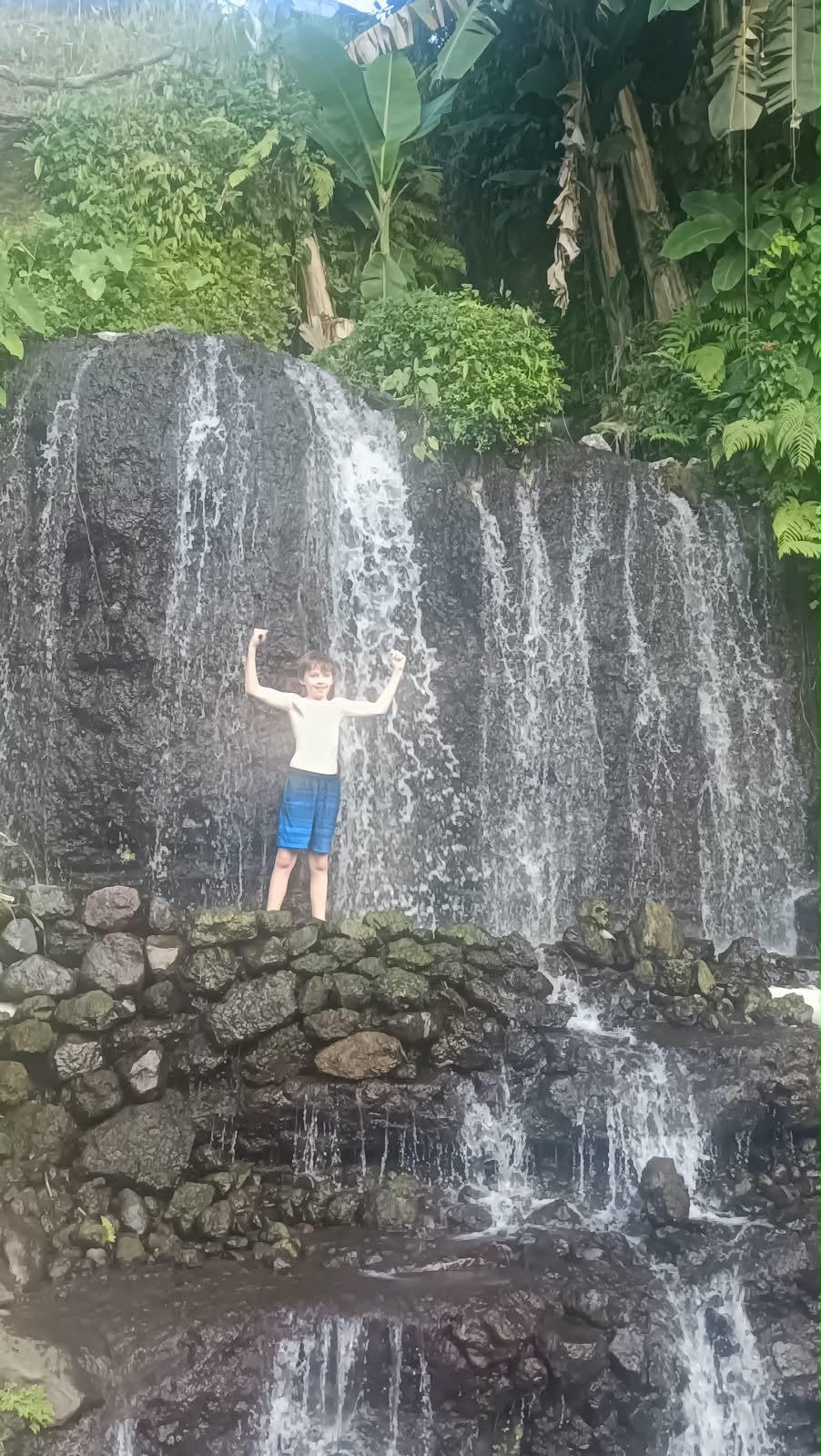 Scenic reference: a waterfall in dense forest