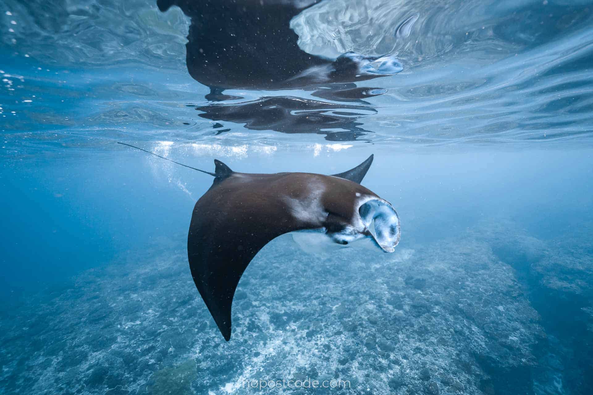 Boat in Komodo National Park waters