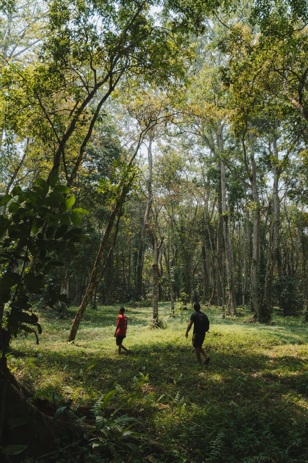 Rinjani Trekking via Tetebatu