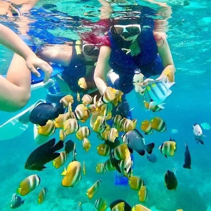 Snorkeling under blue water