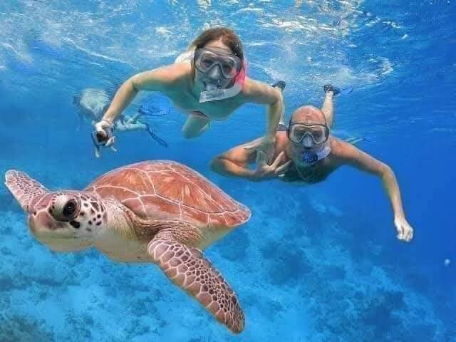 Blue Lagoon snorkeling Bali