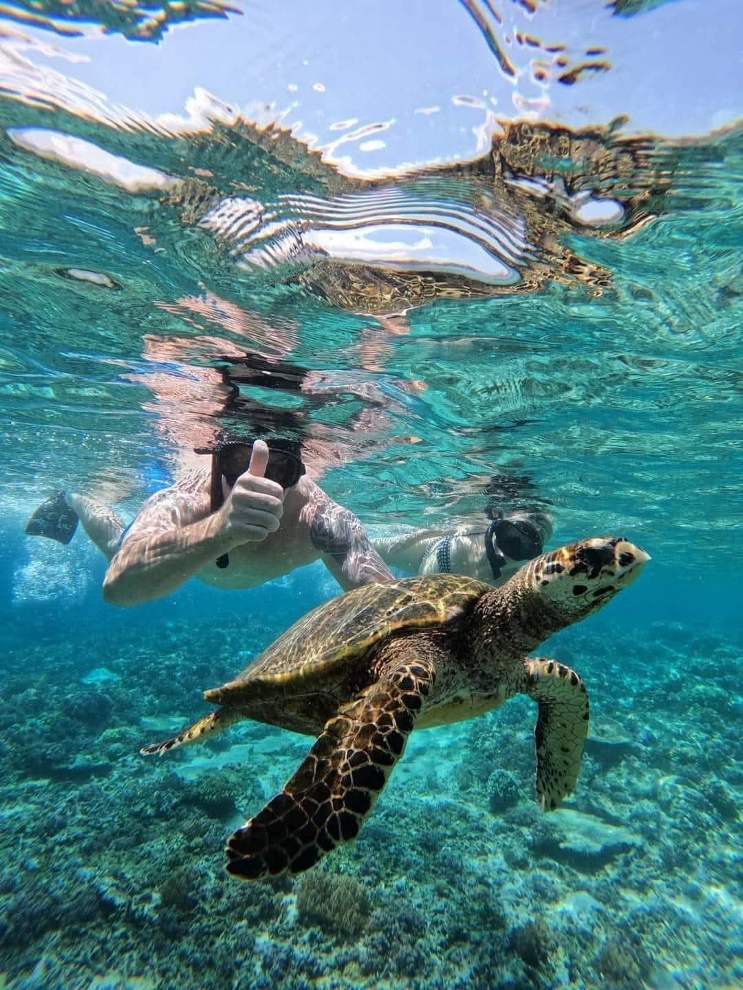 Snorkeling in clear water