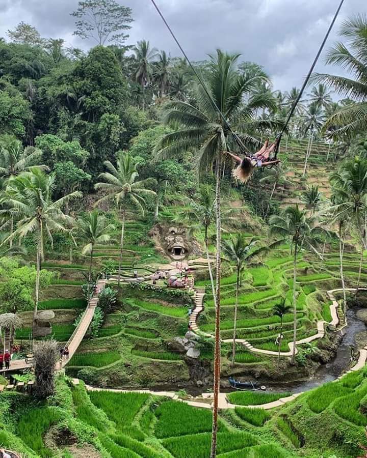Bali Kintamani and Tanah Lot Tour