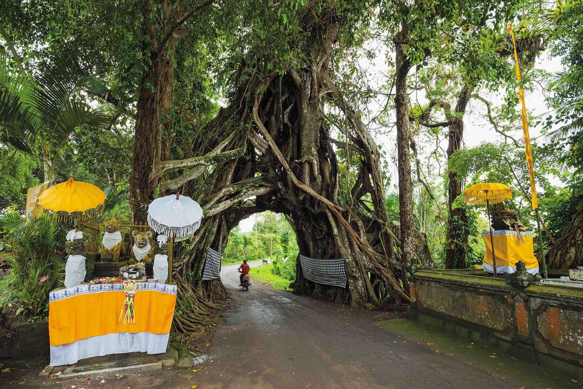 Bali West Tour