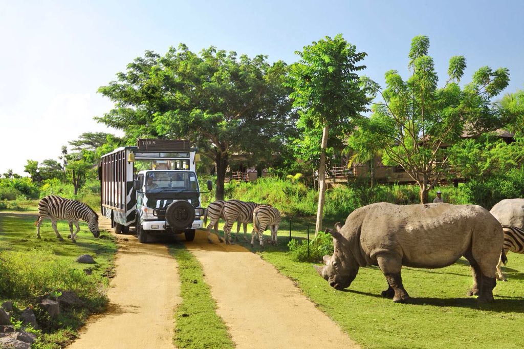 Bali Safari and Marine Park Tour