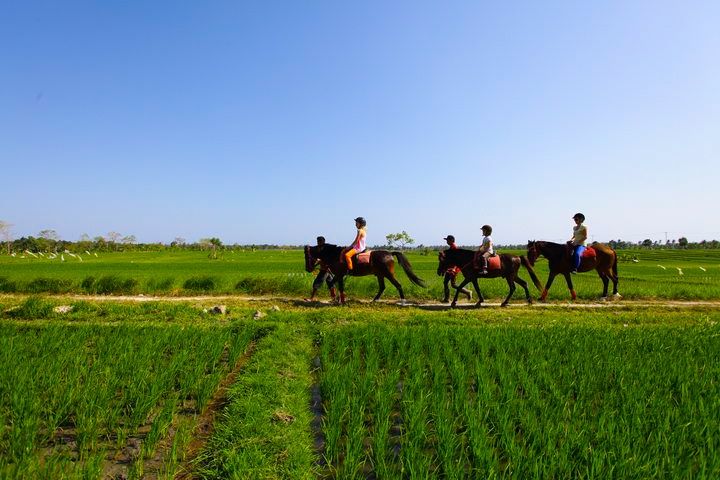 Bali Horse Riding Tour