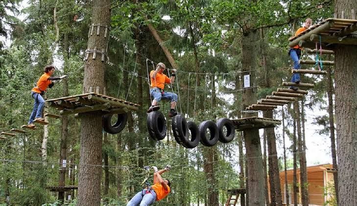 Bali Treetop Adventure Tour