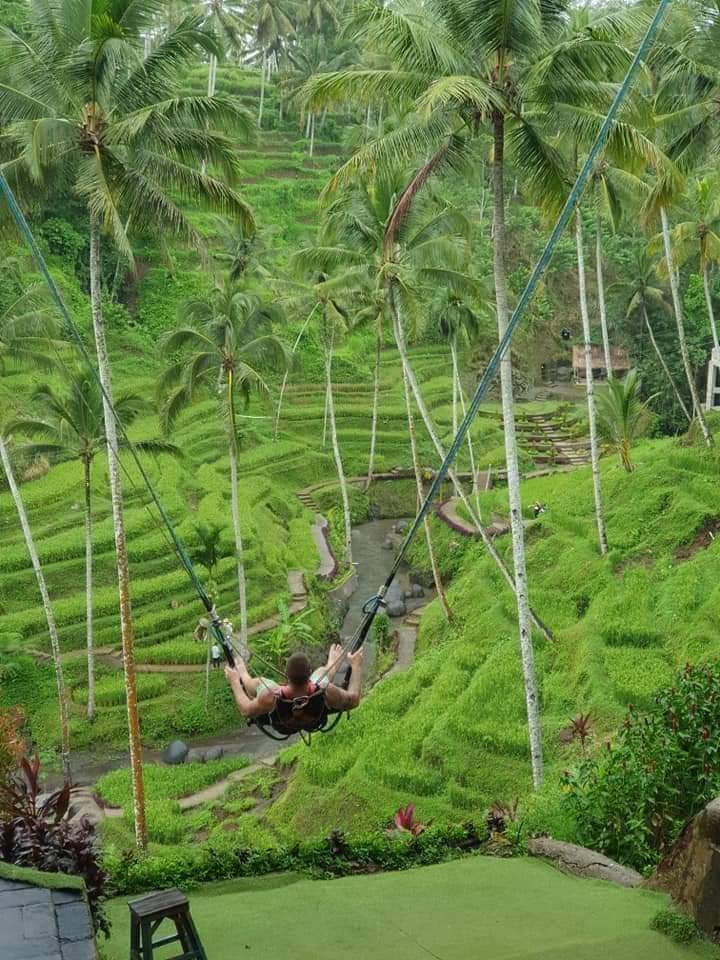 Bali jungle swing over lush tropical forest