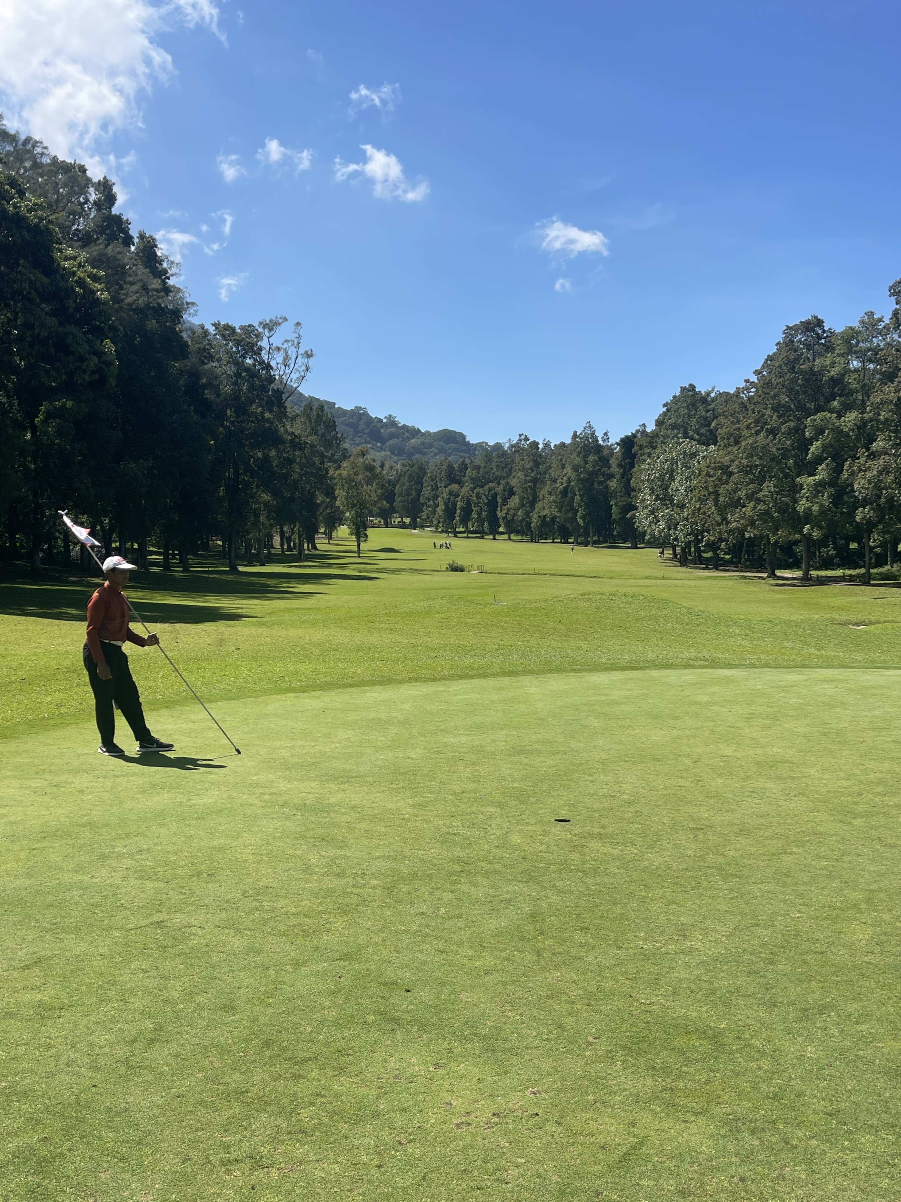 Fairway View