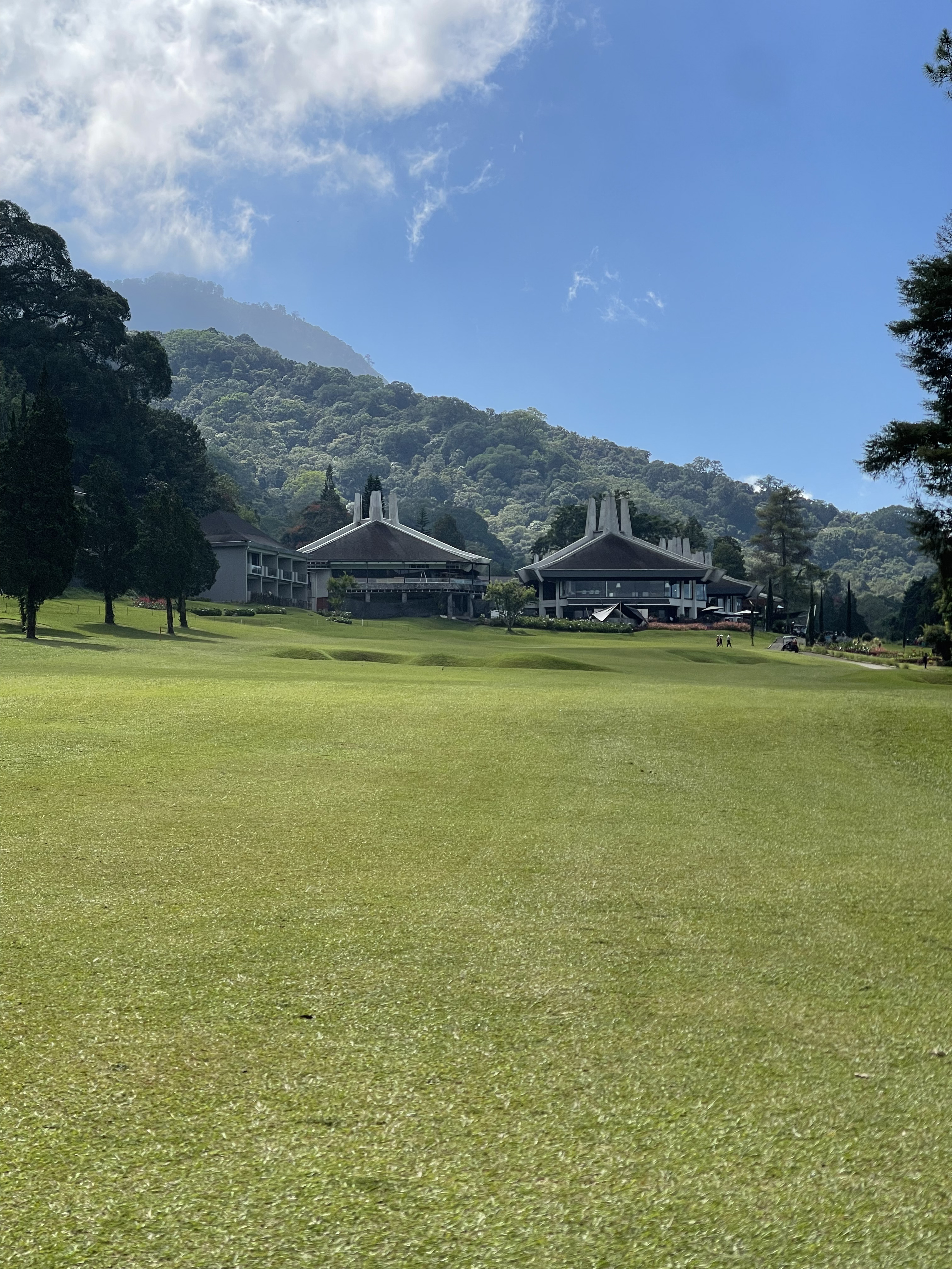 Green View