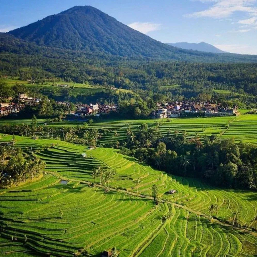Jatiluwih Rice Terrace