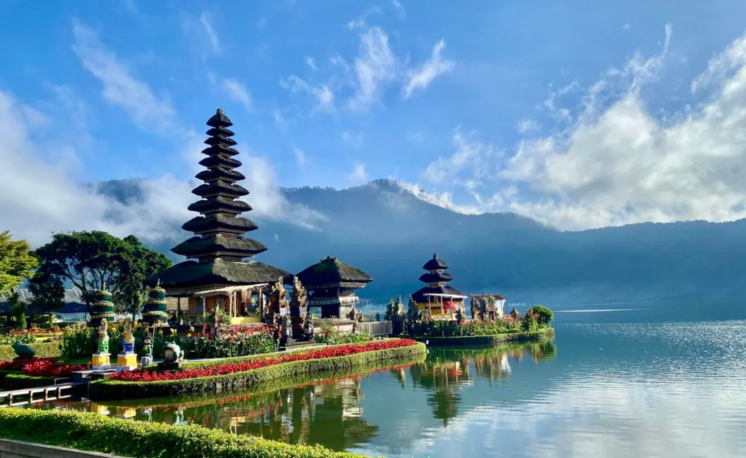 Rice terraces on the Bedugul Serenity Tour from Ubud