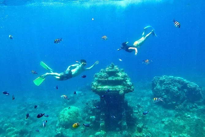 Tropical fish and coral